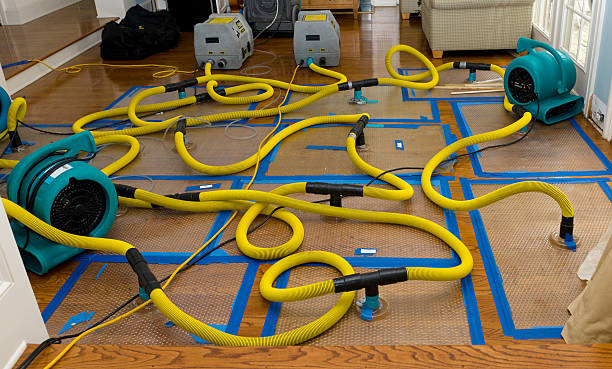 Professional Basement Flood Cleanup technician working in Readstown, WI